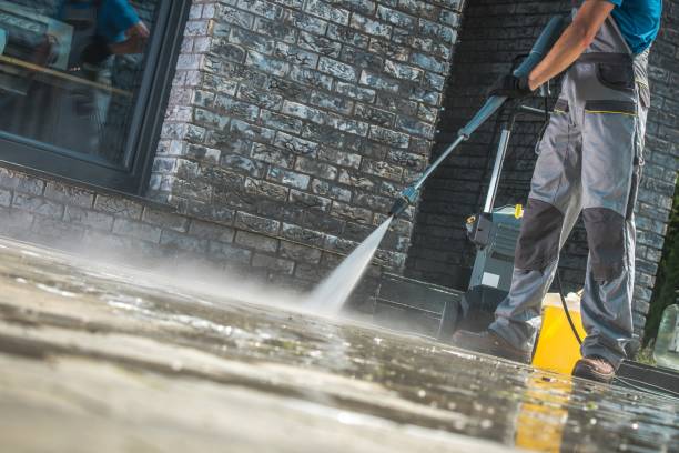 Best Vinyl Siding Pressure Washing in Allison, IA