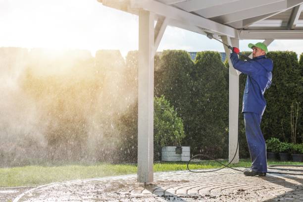Best Sidewalk and Walkway Pressure Cleaning in Allison, IA