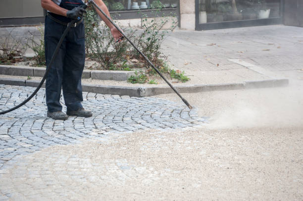Best Roof Cleaning and Mildew Removal in Allison, IA